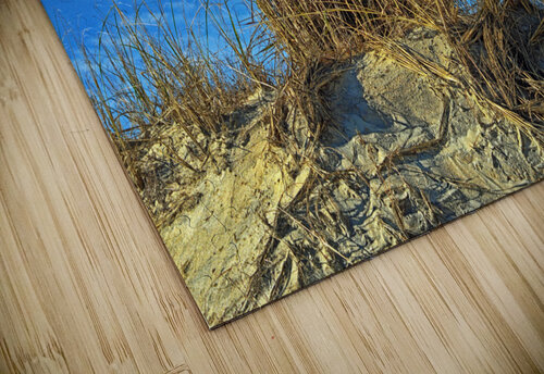 Dune Grass above an Atlantic Ocean Beach Bill Swartwout Photography puzzle