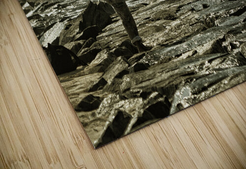 Golden Fisherman at the Ocean City Inlet Bill Swartwout Photography puzzle