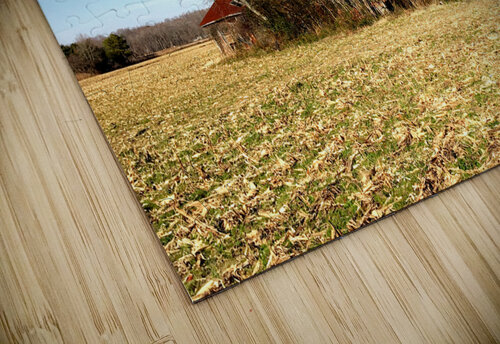 Abandoned Farmhouse and Barn in Williamsville DE Bill Swartwout Photography puzzle