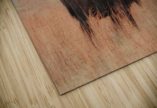 Bison Susan Diann Photography puzzle