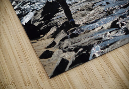 Dedicated Fisherman at the Ocean City Inlet Bill Swartwout Photography puzzle