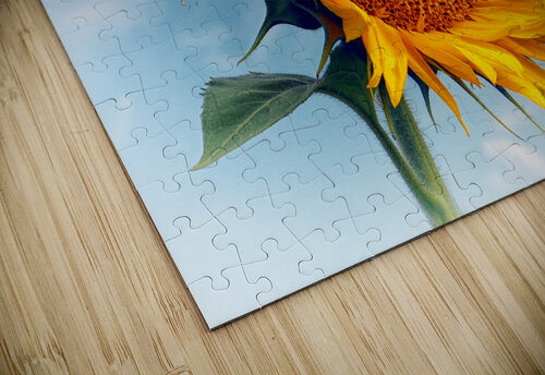 Sunflower Solitaire in the Sky Bill Swartwout Photography puzzle