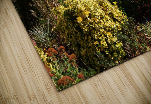 Ocean City Dune Crossing at 142nd Street Bill Swartwout Photography puzzle