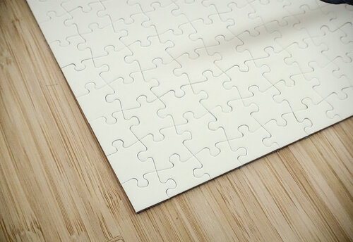 Cerebration  Existential Inspiration: Discovering the Meaning of Life  Anca Iovita puzzle