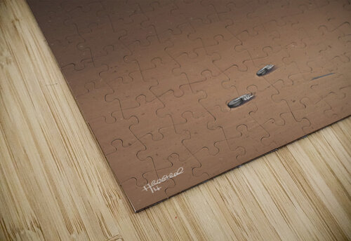 New season Alirastroo puzzle