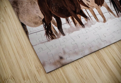Wild Horses Susan Diann Photography puzzle