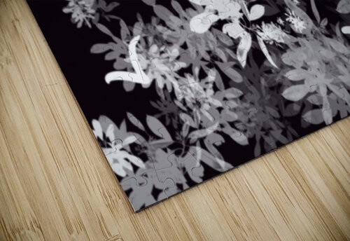 Black & White World Paula Denoncourt puzzle