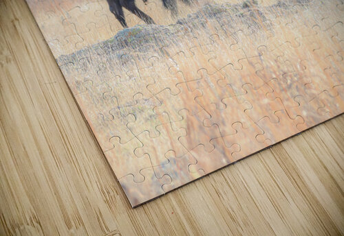 Bison-The Journey aka The Old Man Susan Diann Photography puzzle