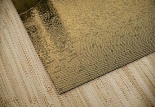 Florence Fabien Dormoy puzzle