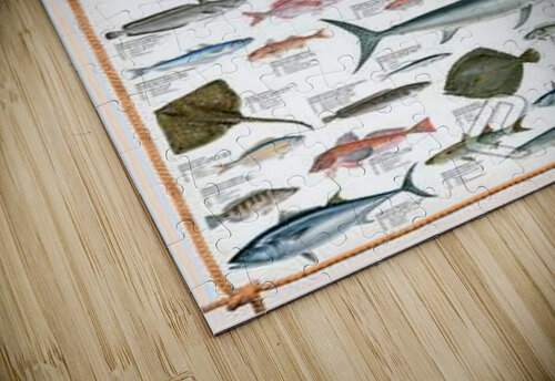 Mediterranean Fish VINTAGE POSTER puzzle