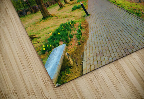 Fugi lake path sunset arkvis A  M Damien Suriel puzzle