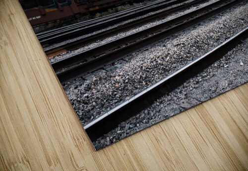 Happiness Susan Diann Photography puzzle