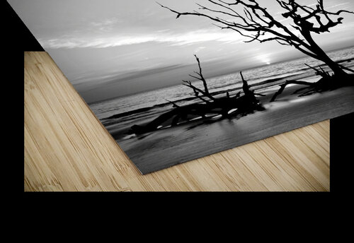 Iconic Tree Sunrise Driftwood Beach Black and White Bill Swartwout Photography puzzle