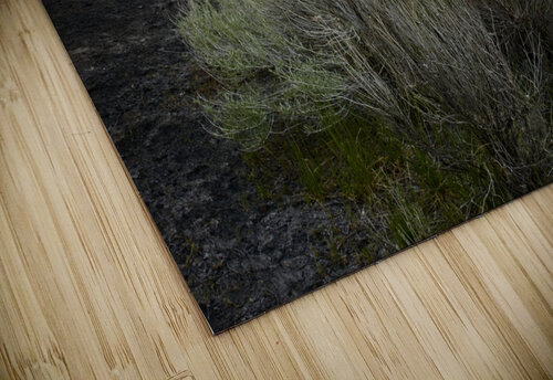 Desert storm Kristian Gunderson puzzle