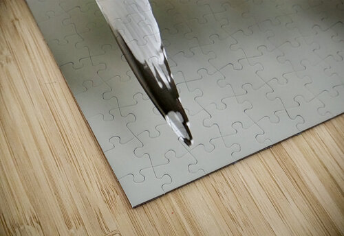 Seagull Scott Deyo puzzle