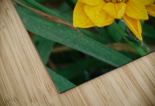 20210414IMG 8082 Lapissable puzzle