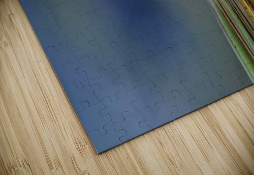 20210409IMG 8494 Lapissable puzzle