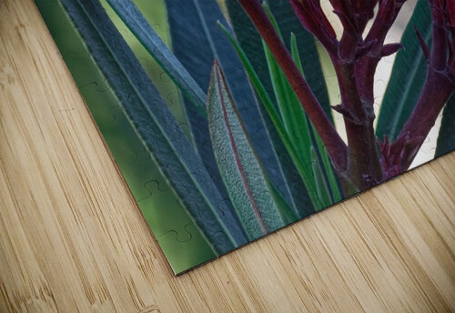 20210508IMG 9264 Lapissable puzzle