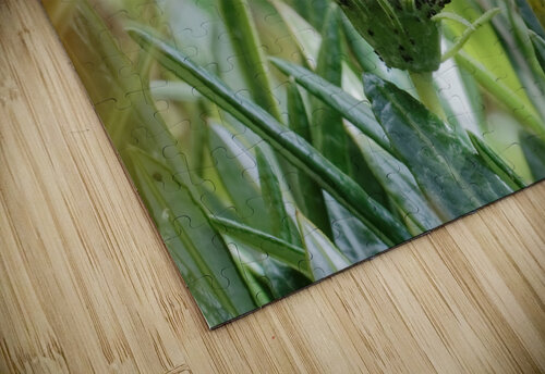 20210414IMG 8078 Lapissable puzzle