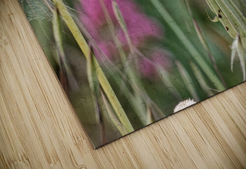 20210410IMG 8577 Lapissable puzzle