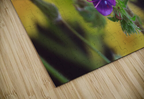 DC IMG 2707 Lapissable puzzle