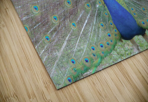 WILD IS MY FAVORITE COLOR SERIES-6 Susan Diann Photography puzzle