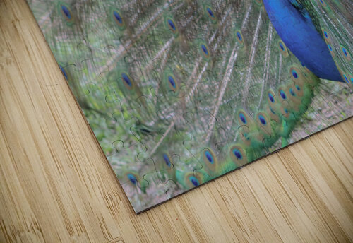 WILD IS MY FAVORITE COLOR SERIES-5 Susan Diann Photography puzzle