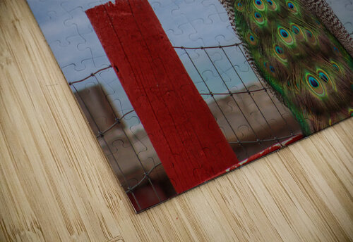 WILD IS MY FAVORITE COLOR SERIES- Susan Diann Photography puzzle