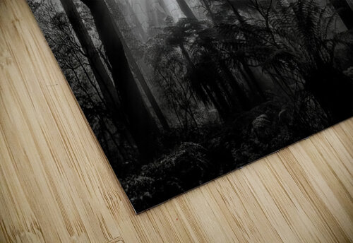 Primary forest 1x puzzle