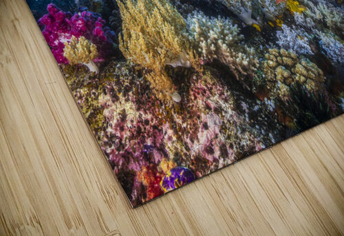 Manta reef on the reef 1x puzzle
