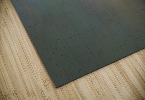 Spring danse 1x puzzle