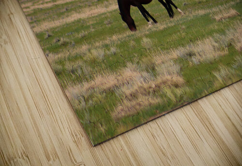 Wild Beauties Susan Diann Photography puzzle