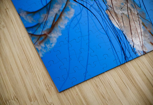 Orange Glow Alina Myers puzzle