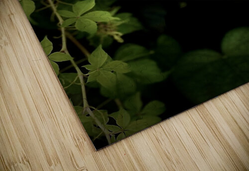 247FB480 0C9E 4C2D B61D DB7CF9616CAC shadowmaud puzzle