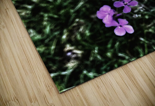 9A0CA0D8 1CB1 42C3 9CA2 CCF4751CBA0B shadowmaud puzzle