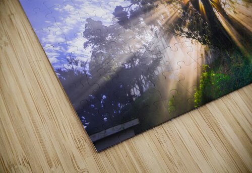 Rays of Light WOW Factor Photography puzzle