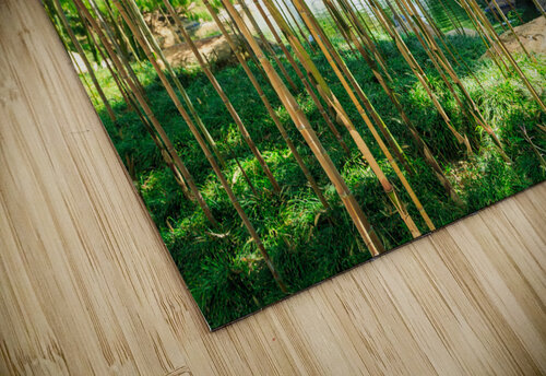 Bamboo WOW Factor Photography puzzle