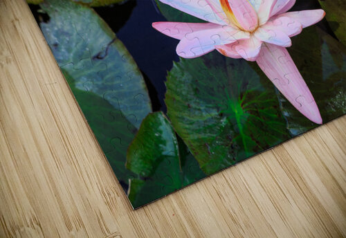 Water Lilies WOW Factor Photography puzzle