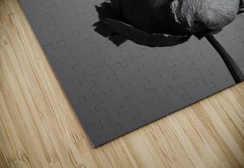 SYMBIOSIS Min Gu kweon puzzle