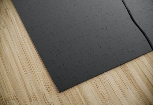 SYMBIOSIS Min Gu kweon puzzle