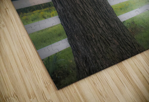 Backyard Swing Susan Diann Photography puzzle