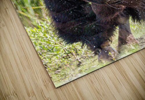 Shake It Off Susan Diann Photography puzzle