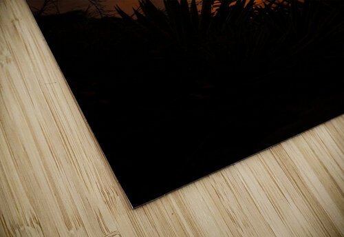 One With The Sun Alina Myers puzzle