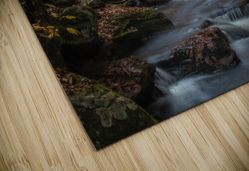 Ricketts Glen in the fall Imma Barrera puzzle