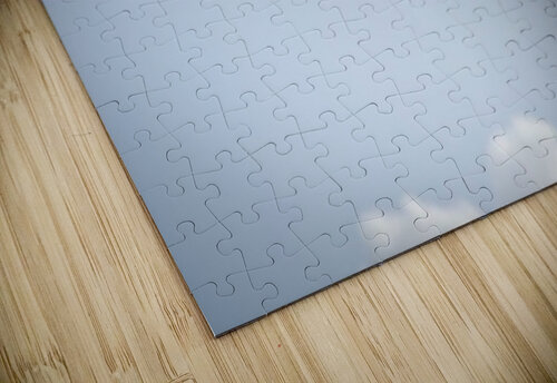 Birds duo Fabien Dormoy puzzle