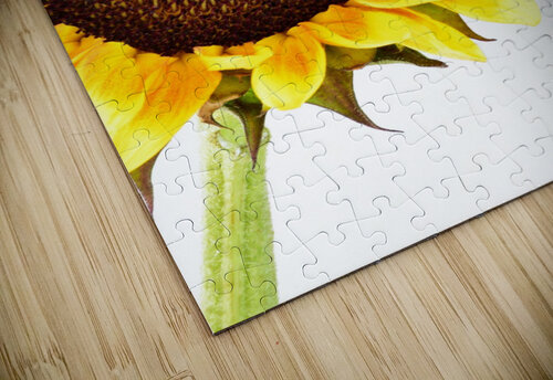 Hello Sunshine  Brenda Lawlor puzzle