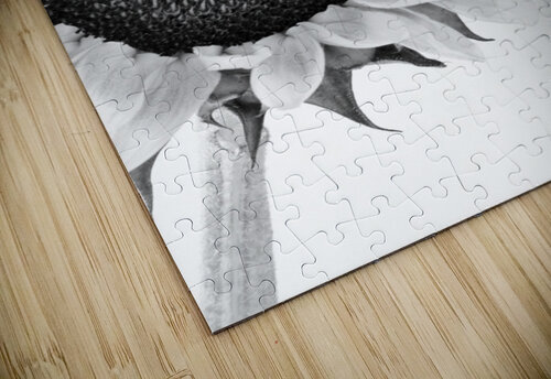 Hello Sunshine 2 Brenda Lawlor puzzle