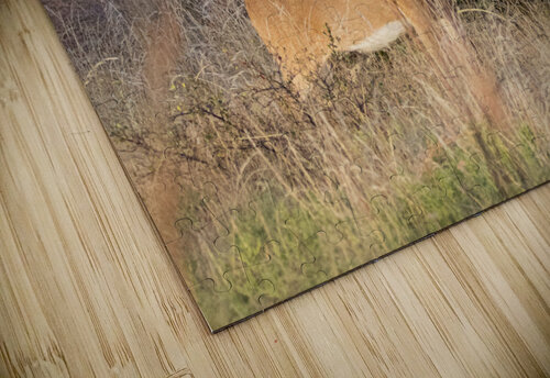 Buck Susan Diann Photography puzzle