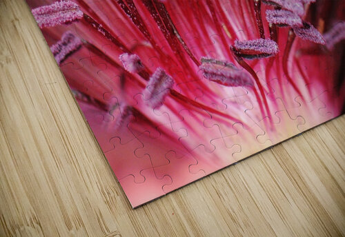 Blushing Poppy Brenda Lawlor puzzle