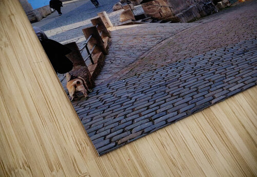 Rothenburg Au Der Tauber Germany JulesSnow puzzle